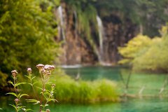 img_5901