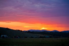 img_5955