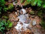 Daintree National Park et les Tablelands