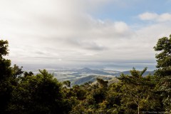 En arrivant sur Daintree National Park