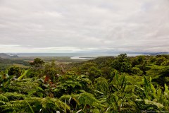 Mount Alexandra Lookout, Daintree National Park