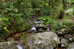 Mossman Gorge