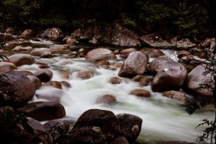 Cours d'eau, Mossman Gorge