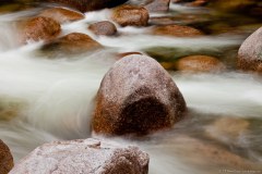 Rocher au milieu des rapides, Mossman Gorge