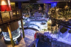 Vue d'en haut, Dubaï aquarium
