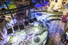 Bassins, Dubaï aquarium