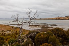 Plage de Dunalley