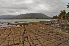 Tesselated pavements, eaglehawk neck