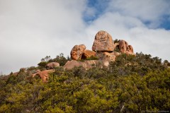 Rochers, Freycinet National Park