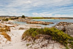 The Gardens, Bay of Fires