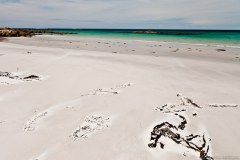 Plage de sable blanc, Bay of Fires
