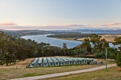 Rosevears lookout, Tamar river