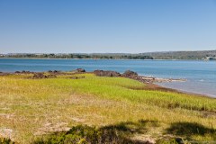 La Tamar river, Hillwood