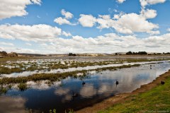 Lac Dulverton, Oatlands
