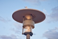 Un lampadaire à tête de mouette !