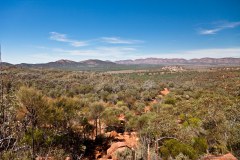 Vue sur les Flinders depuis Arkaroo Rock