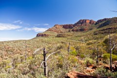 Les montagnes environnantes d'Arkaroo Rock