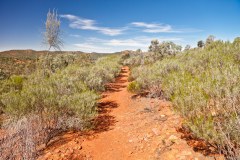 Chemin de randonnée, Arkaroo Rock