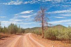 Piste des Flinders Ranges