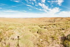 Panoramique depuis Stokes Hill lookout