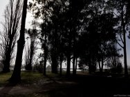 Nuit brumeuse aux confins du Gippsland