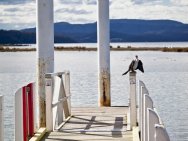 Mallacoota