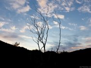 Crépuscule sur Wilsons Promontory