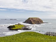 Round Island et Seal Rock, Phillip Island