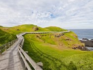 Phillip Island