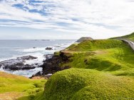 Phillip Island