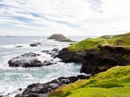 Phillip Island