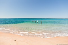 Plage de Queenscliff