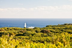 Cape Otway lighthouse