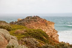 Falaise, douze apotres