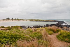 La lande de Griffiths Island