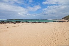 Plage de Griffiths Island