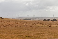 Eoliennes à Bridgewater Cape, Portland