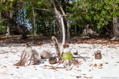 Noix de coco fun, île des Pins