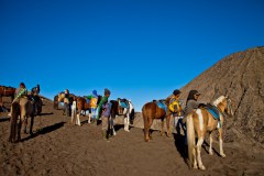 Chevaux-Bromo
