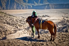 Cheval-Bromo2