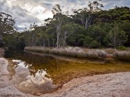 Hyams Beach3