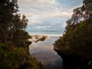 Hyams Beach4