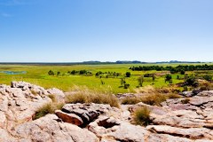 Panoramique du haut d'Ubirr, vue sur les marécages du Kakadu National Park