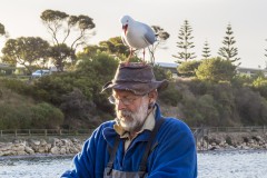 La mouette, Kingscote, Kangaroo Island