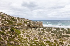 Le parcours, Seal Bay Conservation Park, Kangaroo Island
