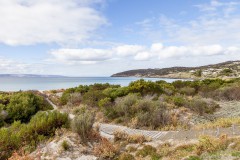 Bush & sea, Penneshaw, Kangaroo Island
