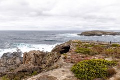 Panoramique cap du Coedic, Flinders Chase National Park, Kangaroo Island