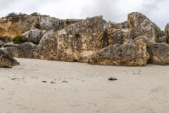 Panoramique de Stokes Bay, Kangaroo Island