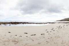 Panoramique de Stokes Bay, Kangaroo Island