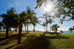 Palmiers de Cable Beach, Broome